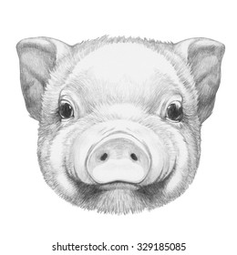 Pig Face Images, Stock Photos & Vectors | Shutterstock