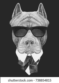 Portrait Of Pit Bull In Suit. Hand-drawn Illustration.