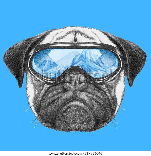 pug dog goggles