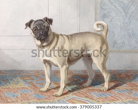 Portrait of Pug of the Vom Rath Family, by Conradijn Cunaeus, c. 1850-80, Dutch watercolor painting.