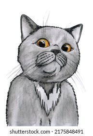 A Portrait Of A Scared Grey Pedegree Kitten With Orange Eyes Isolated On White Background. Pencil Sketch.