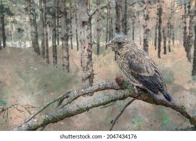 Portrait Of A Skylark Chick Sitting On A Branch In The Woods. Gray-brown Songbird In Close-up. Field Lark. Animals In Natural Habitat. Digital Watercolor Painting