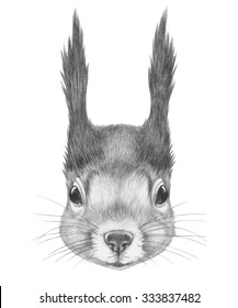Portrait Of Squirrel. Hand Drawn Illustration.