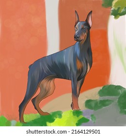 Portrait Of A Stern Doberman