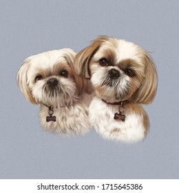 Portrait Of Two Cute Shih Tzu Dogs. Toy Or Miniature Poodle Isolated On Grey Background. Lap Dogs. Hand Drawn Pet Illustration. Animal Art Collection. Design Template. Good For Print T-shirt, Pillow