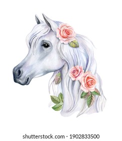 Portrait of white horse with flowers, roses isolated on white background. Watercolor. Illustration. Tamplate