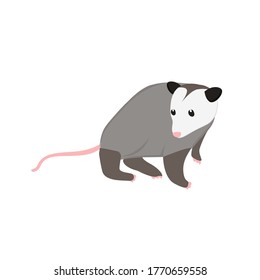 Cartoon Possum Images Stock Photos Vectors Shutterstock Possums or opossums is a nocturnal marsupial found in north and south america. https www shutterstock com image illustration possum animal cartoon art illustration 1770659558