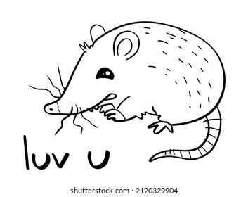 Possum Rat Cartoon Funny Illustration