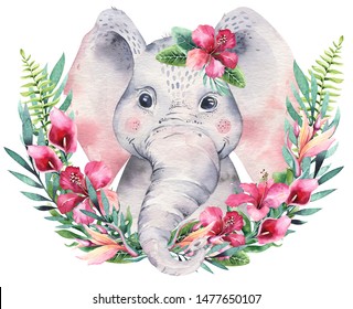 A poster and baby elephant  Watercolor cartoon elephant tropical animal illustration  Jungle exotic summer design