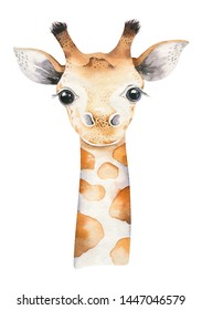 A poster with a baby giraffe. Watercolor cartoon giraffe tropical animal illustration. Jungle exotic summer design