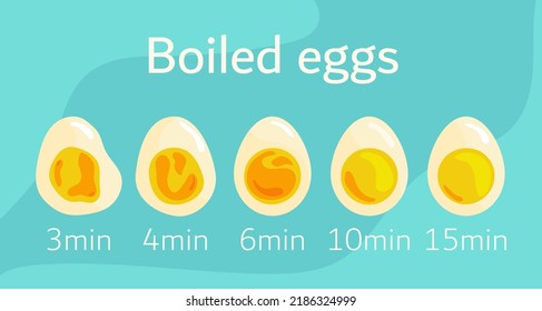 Poster Cooking Eggs Vector Illustration Boiled Stock Illustration 