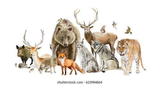 Poster Set Group Of Watercolor Hand Drawn Animal Cliparts - Birds, Predators And Preys, Grass-feeding And Rodents