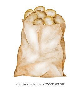 Potato watercolor illustration. Ripe vegetable in a paper bag hand drawn on white isolated background. Organic farm product. Ideal for potato product label, tags and posters - Powered by Shutterstock