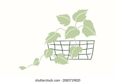 Potted English Ivy In Simple Doodle Style