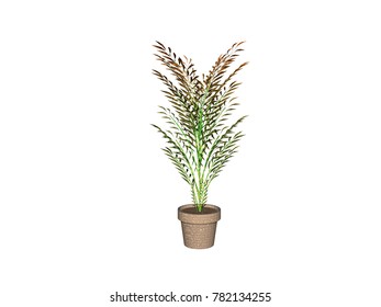 potted plant 3D rendering