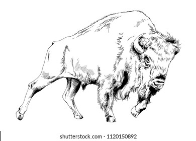 Buffalo Tattoo Images, Stock Photos Vectors | Shutterstock