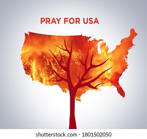 Pray For USA. America Bush Fire Concept. Tree Burned By Bush Fire. Many Trees Burned At Clifornia. Save Tree Save The Animal. Environment Day Concept.