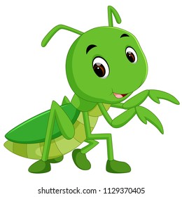 578 Cartoon praying mantis Images, Stock Photos & Vectors | Shutterstock