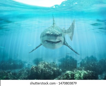 A Predator Great White Shark Swimming In The Ocean Coral Reef Shallows Just Below The Water Line Closing In On Its Victim . 3d Rendering With God Rays