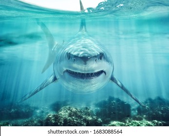 A Predator Great White Shark Swimming In The Ocean Coral Reef Shallows Just Below The Water Line Closing In On Its Victim . 3d Rendering With God Rays