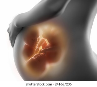 Pregnancy concept with woman and fetus isolated