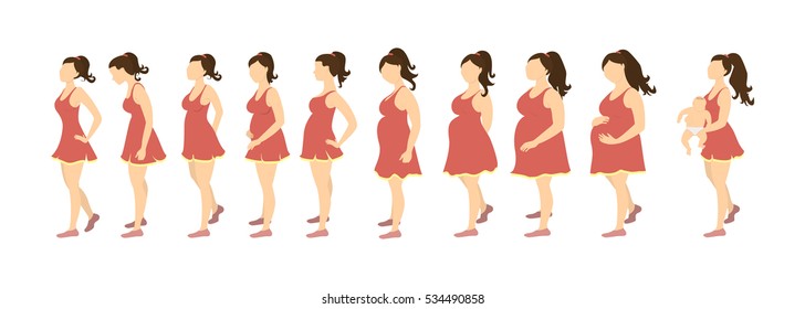 Pregnancy Stages Concept Pregnant Beautiful Girl Stock Vector (royalty 