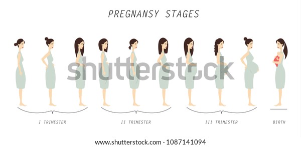 Pregnancy Stages Illustration Beginning Childbirth Stock Illustration ...