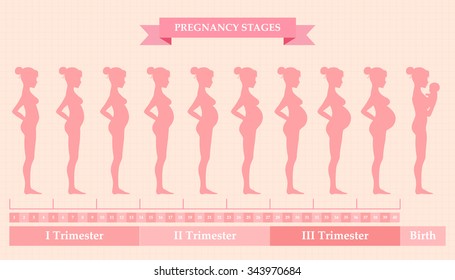 Pregnant female silhouettes. Changes in a woman's body in pregnancy. Pregnancy stages, trimesters and birth, pregnant woman and baby. Infographic elements