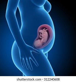 pregnant woman with visible fetus - week 31
