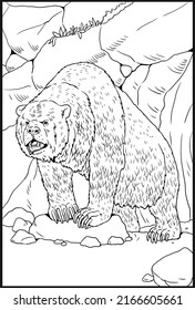 Prehistoric Animals Cave Bear Drawing Extinct Stock Illustration ...