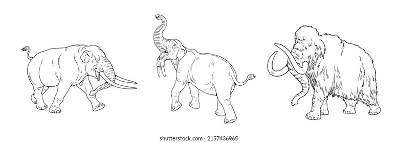 Prehistoric animals. Mammoth, mastodon and deinotherium. Coloring page with extinct Elephants.