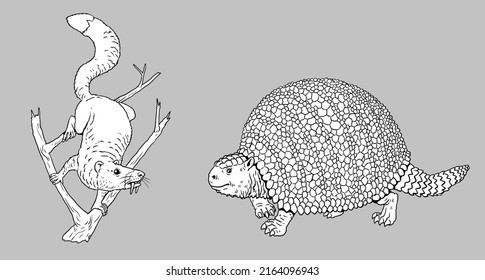 Prehistoric animals - sabertooth squirrel and glyptodon. Drawing with extinct mammals. Silhouette drawing for coloring book.
