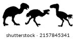 Prehistoric birds of prey. Kelenken, titanis and gastornis. Silhouette drawing with extinct predators terror birds.