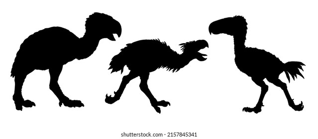 Prehistoric Birds Of Prey. Kelenken, Titanis And Gastornis. Silhouette Drawing With Extinct Predators Terror Birds.