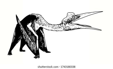 quetzalcoatl pterosaur