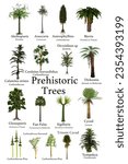 Prehistoric Trees 3d illustration - A collection of trees and cycads that lived during prehistoric periods of Earth