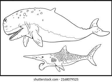 Prehistoric Whale Livyatan And Shark Helicoprion. Silhouette Illustration With Extinct Animals. Template For Coloring Book.