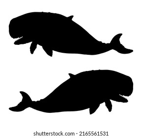 Prehistoric Whale Livyatan. Silhouette Illustration With Extinct Animals.