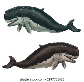 Prehistoric Whale Livyatan. Silhouette Illustration With Extinct Animals. Template For Coloring Book.