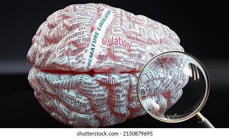 Premature ejaculation in human brain, hundreds of terms related to Premature ejaculation projected onto a cortex to show broad extent of this condition, 3d illustration