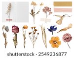 Pressed flowers arranged on paper. Dried flowers include roses, daisies, and wildflowers. Floral art with pressed, dried, and arranged flowers on paper. Aesthetic dried flower elements isolated.