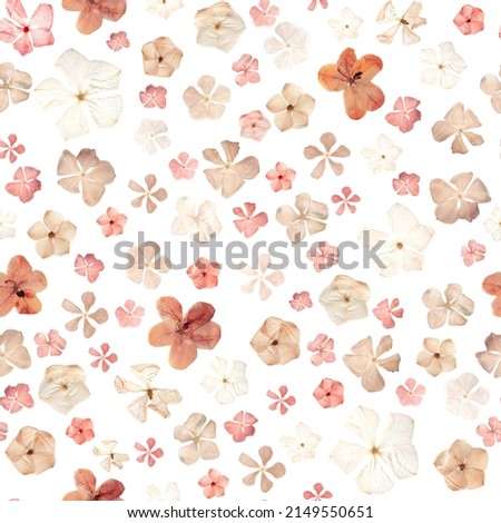 Similar – Image, Stock Photo a small dried flower in winter