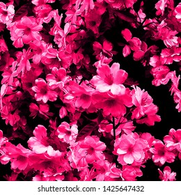Pretty Blossom Floral repeat pattern