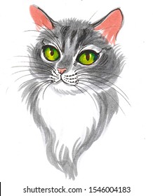 Pretty cat with green eyes. Ink and watercolor illustration