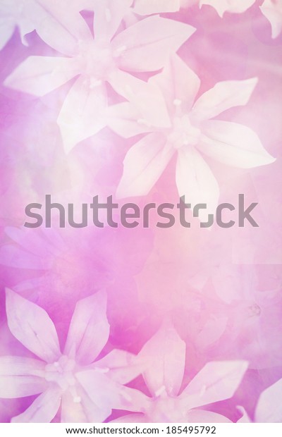 Pretty White Flower Backgrounds - Get Images Four