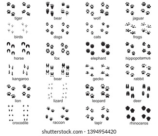 7,520 Rabbit foot Images, Stock Photos & Vectors | Shutterstock