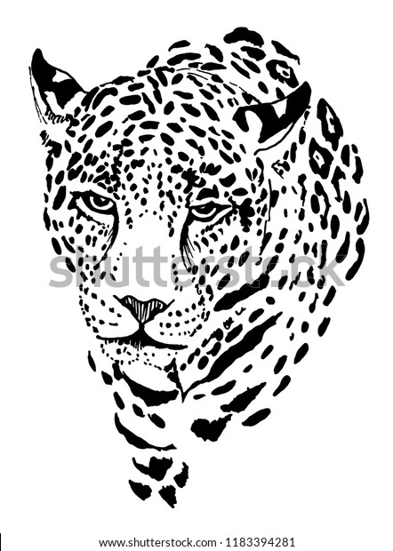 Print Leopard Head Graphic Stock Illustration 1183394281