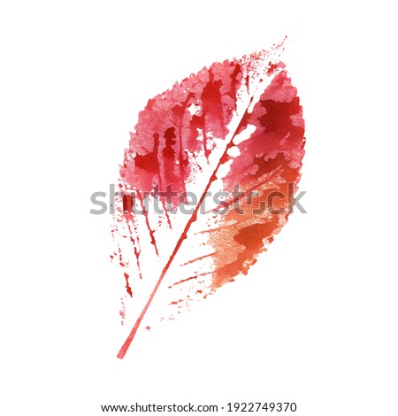 The print of the sheet. Sheet print objects isolated on a white background. Watercolor illustration of an autumn leaf for the design of postcards, fabrics.