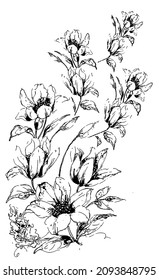 Printable High Resolution Black White Floral Stock Illustration ...