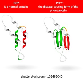 Prion An Composed Of Protein In A Misfolded Form . Prions Are Responsible For The Transmissible Mad Cow Disease. All Known Prion Diseases Are Currently Untreatable And Fatal. Molecules